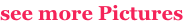 shapeimage_2_link_0